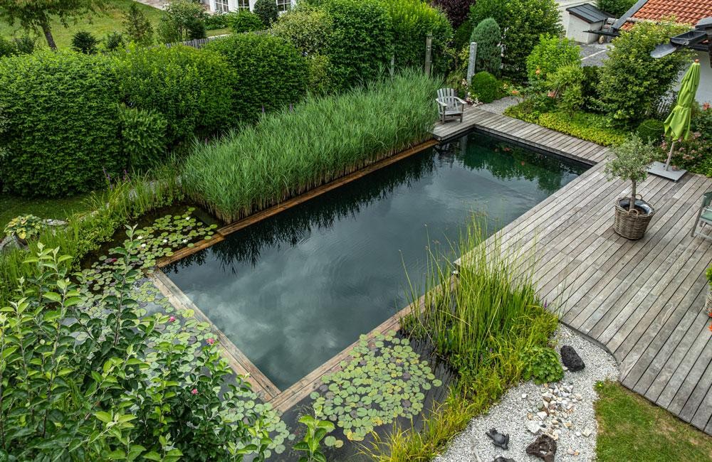 Natural pool with wooden deck and plant filter