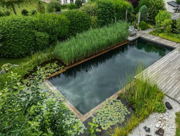 Natural pool with wooden deck and plant filter