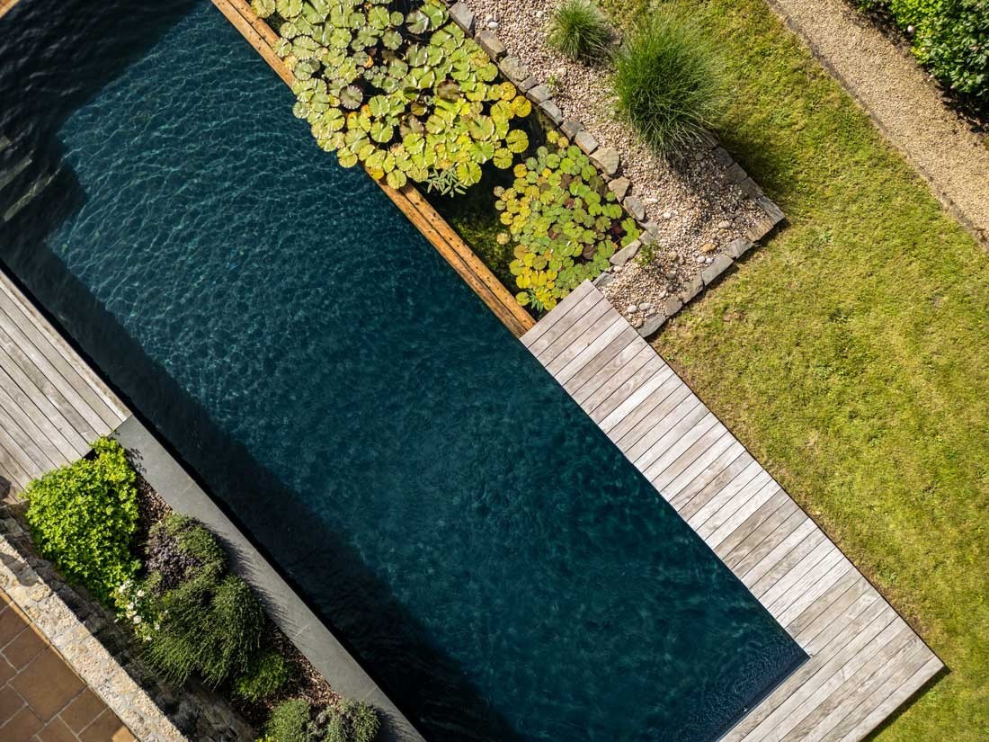 Natural swimming pond from above with water lilies and wooden deck