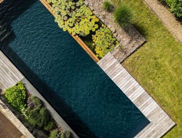 Natural swimming pond from above with water lilies and wooden deck