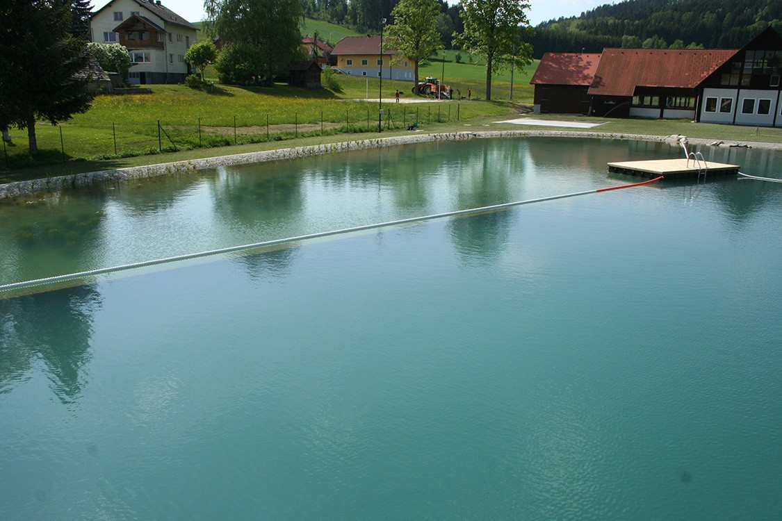 transformation of public pool in austria in natural pool