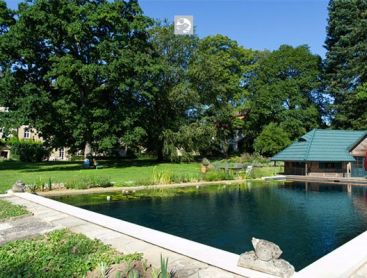 The new natural pool after the redesign with terrace