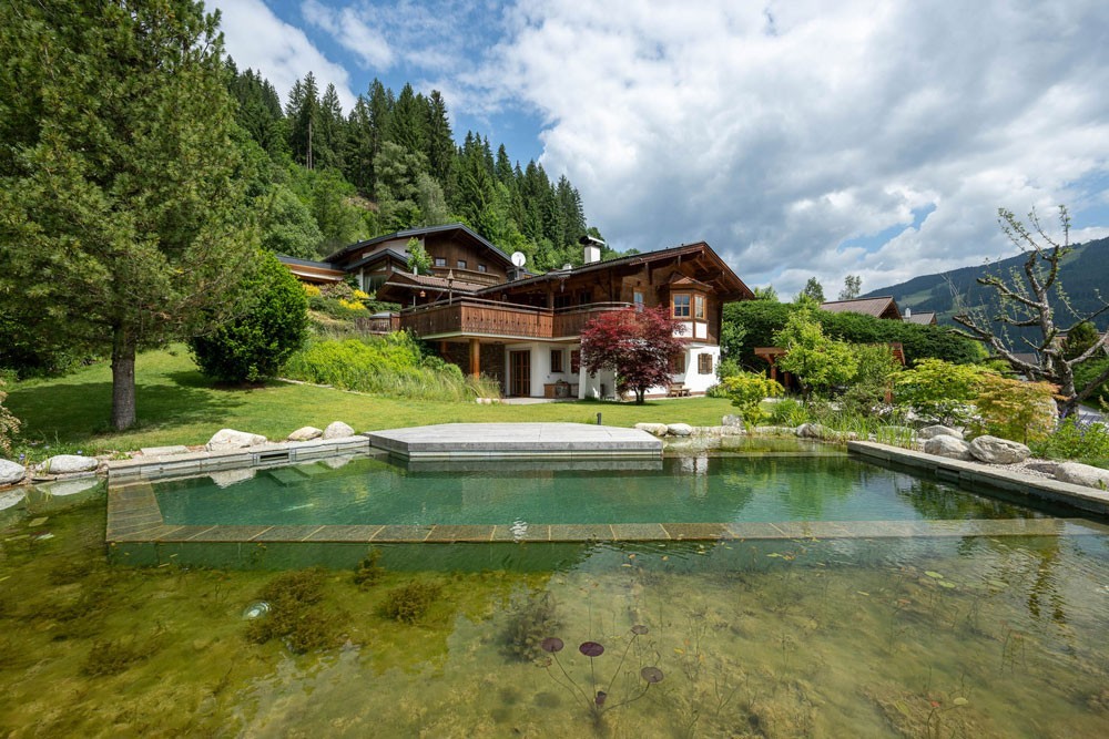 Close-up of the regeneration area of the biotope swimming pond