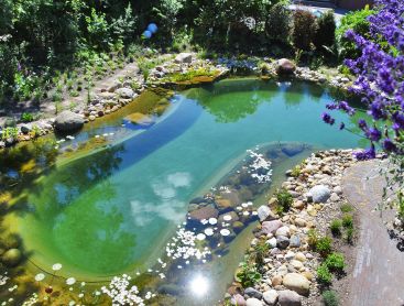 Renovation and reconstruction of a swimming pond with stones and plants
