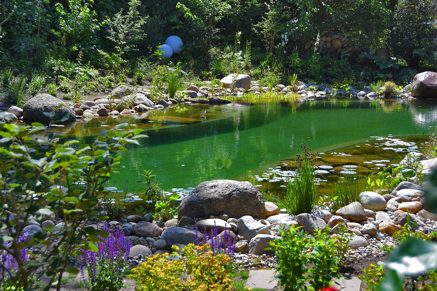 A curved swimming pond in the garden surrounded by flowers and stones
