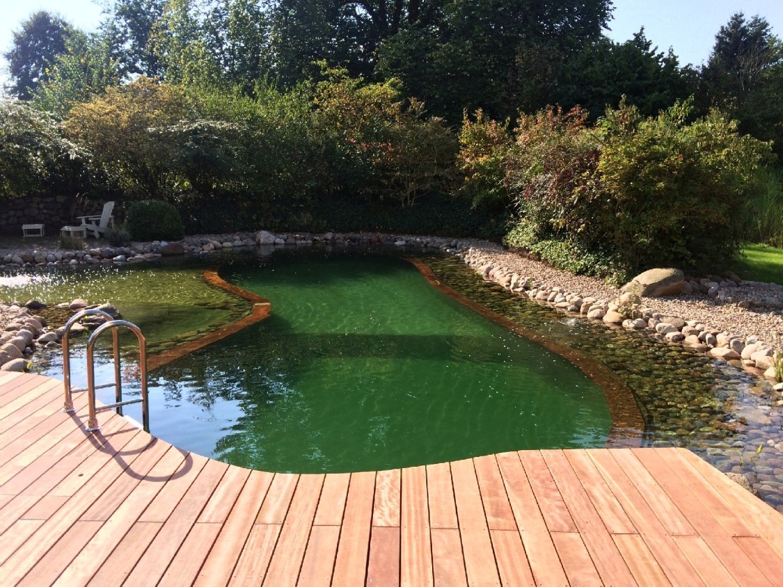 revival-of-a-natural-pool