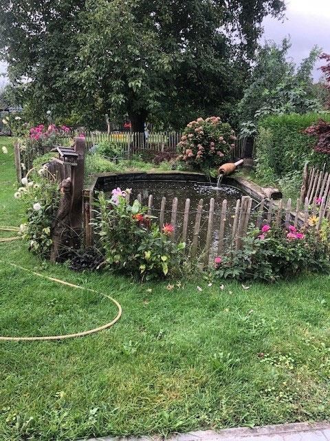 Small natural pond with flowers, wooden fence and water inlet
