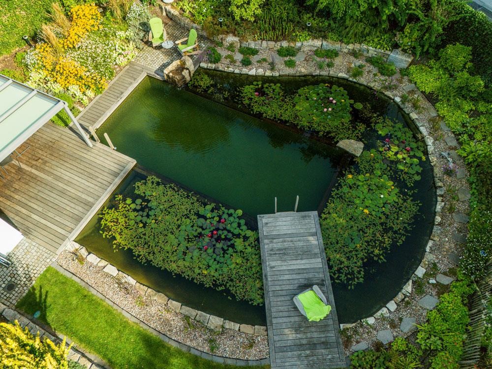 Swimming pond from above with wooden deck water lilies and natural garden