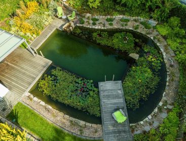 Swimming pond from above with wooden deck water lilies and natural garden