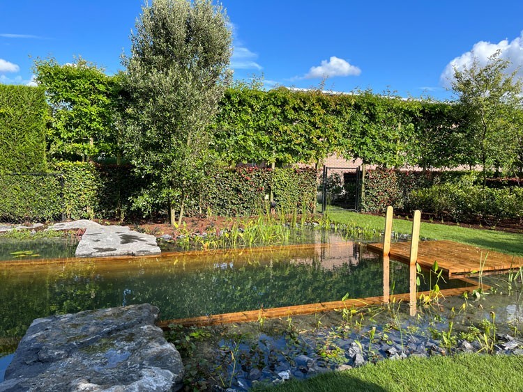 Natural garden with a natural Swimming Pond surrounded by a stone landscape