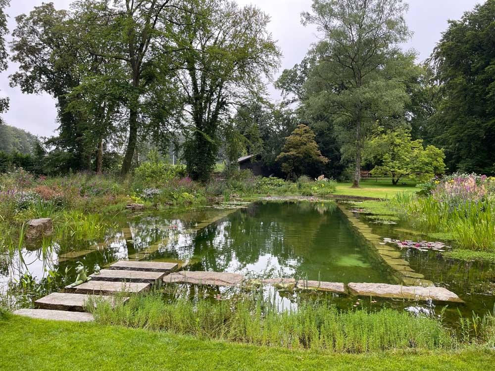 Swimming pond with natural bank, aquatic plants and stone walkway