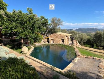 Swimming Pond with stone house and wooden deck overlooking the landscape