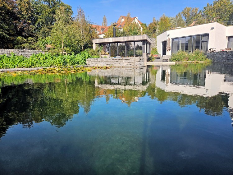 Swimming Pond embedded in a paradise of plants