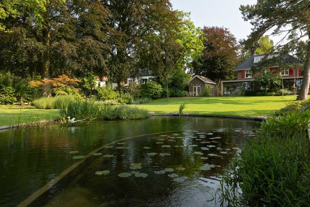 Swimming pond with water lilies in a park style garden with mature trees