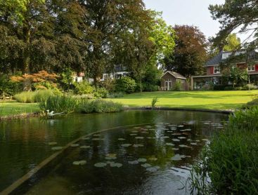 Swimming pond with water lilies in a park style garden with mature trees