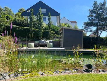 Swimming Pond with wooden terrace and plant zone in a sunny backyard