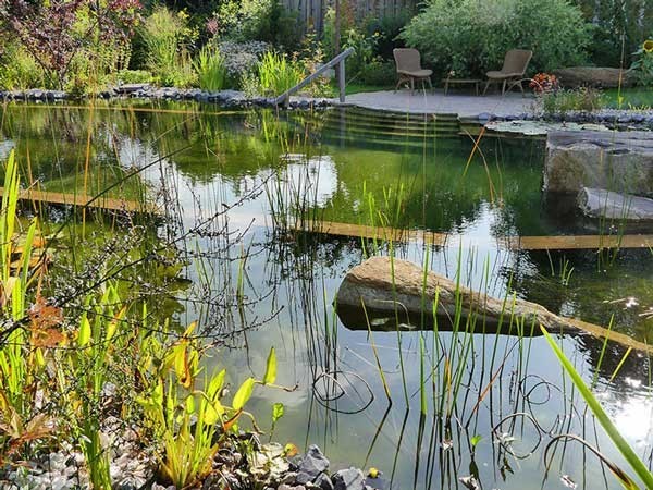 Natural pool with plants and a wooden terrace ideal for relaxing and cooling off