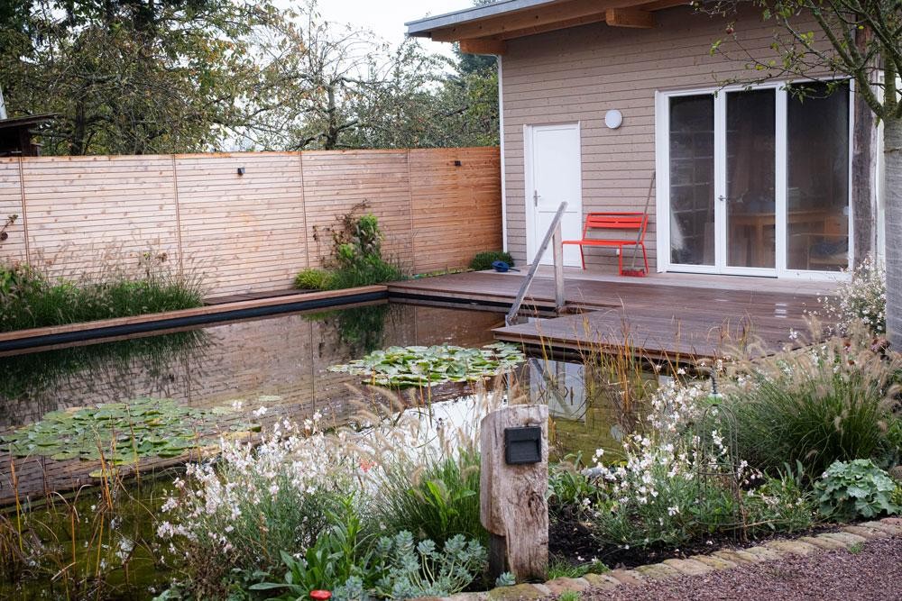 Swimming pond with wood deck wooden house and natural garden