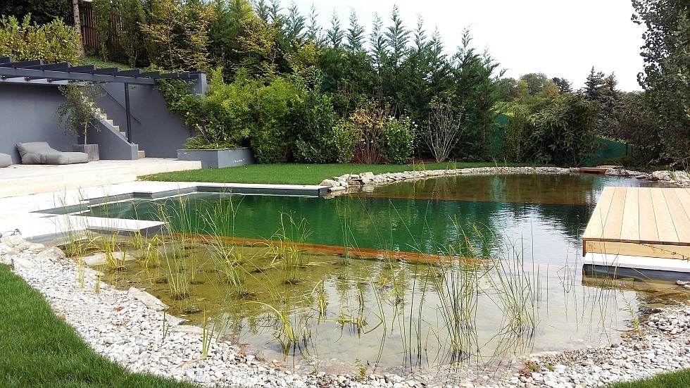 Swimming pool conversion to natural pool prevents demolition