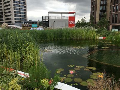 Open day at King’s Cross Pond Club